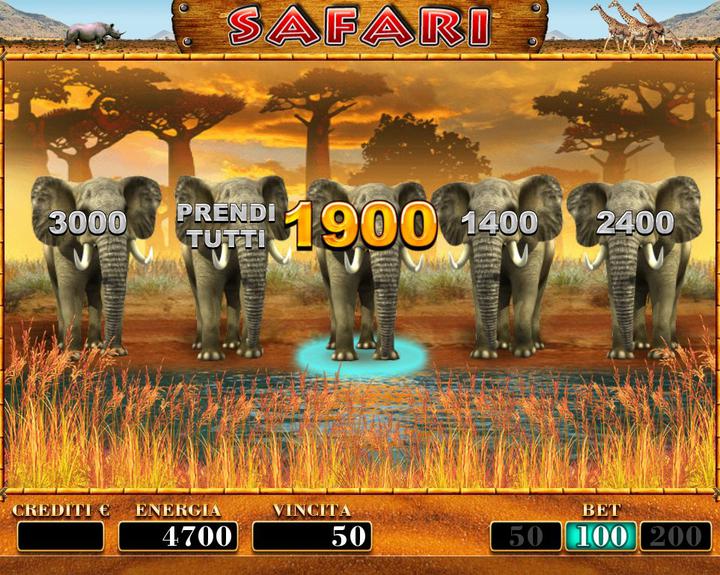 SAFARI 4