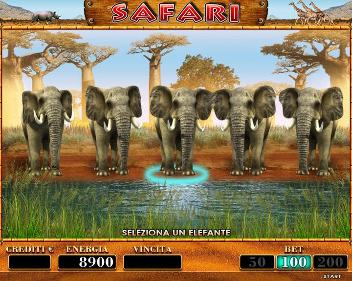 SAFARI 5