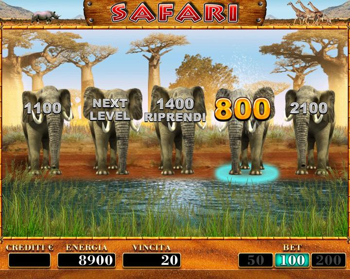 SAFARI 6