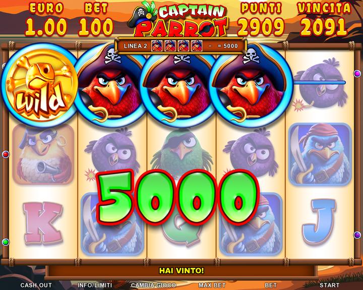 004.Captain Parrot - wild