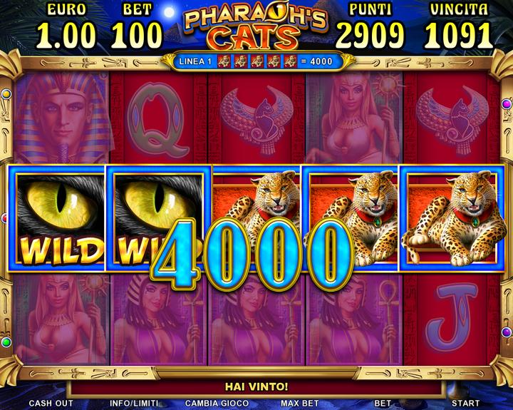 004.Pharaoh’s Cats - wild