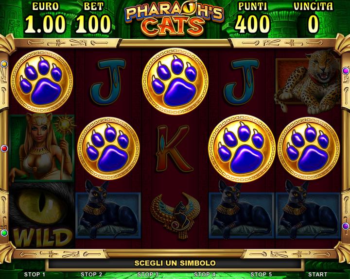 005.Pharaoh’s Cats - scatter feature