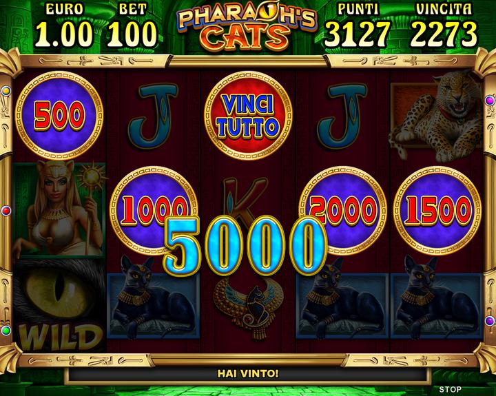 006.Pharaoh’s Cats - scatter feature