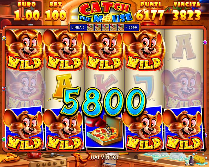 007.Catch the Mouse - wild feature