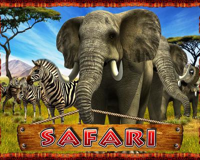Safari 