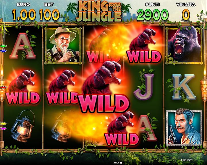 KJ_wild_feature