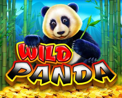 Wild Panda